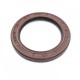 Pressure Oil Seal 40x55x6/6,5 NT01-PL FPM [BABSL+PTFE]